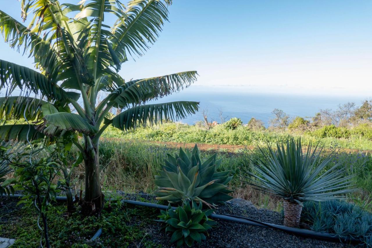 Hrlos Piratas - Ferien Haus La Palma - Good Wlan !! 티하라페 외부 사진