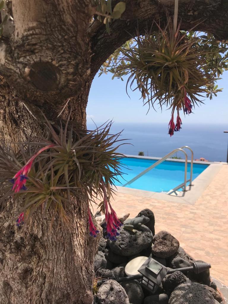 Hrlos Piratas - Ferien Haus La Palma - Good Wlan !! 티하라페 외부 사진